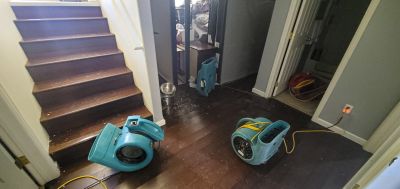 Basement Restoration Service in Scottsdale, AZ