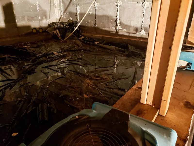 Basement Water Cleanup in Mesa, AZ