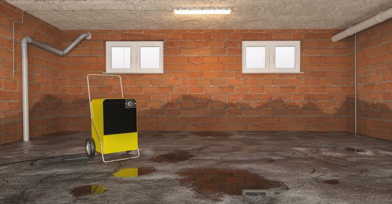 Basement Water Mitigation in Phoenix, AZ