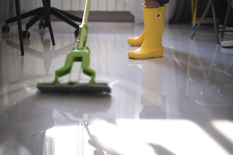 Crawlspace Water Cleanup in Mesa, AZ