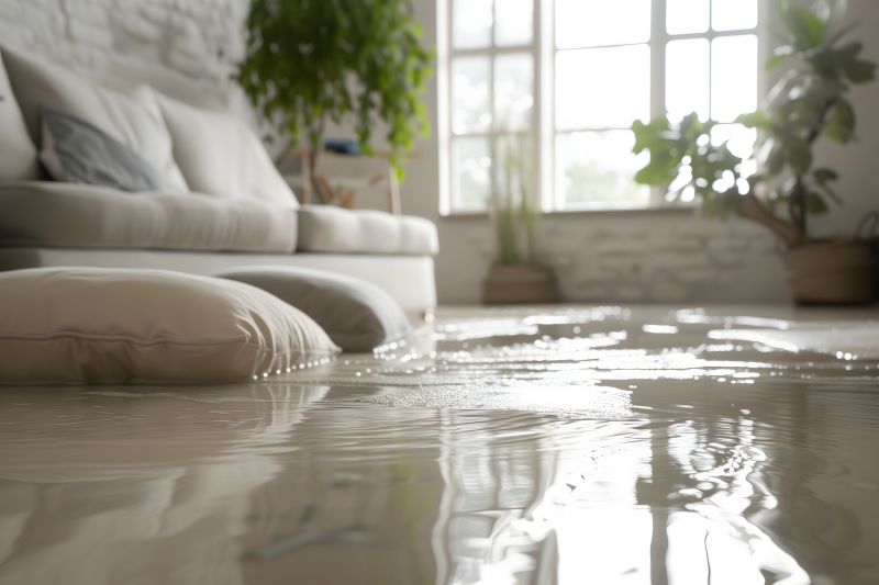Flood Damage Repair in Scottsdale, AZ