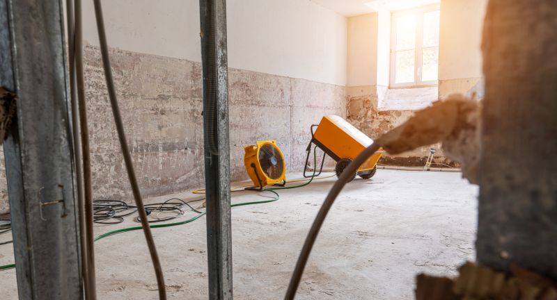 Moisture Removal Service in Gilbert, AZ