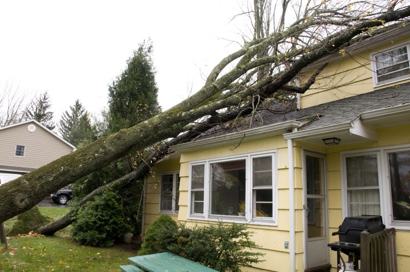 Storm Recovery Service in Gilbert, AZ