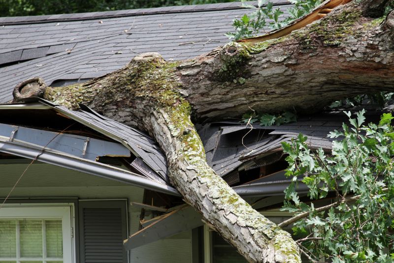 Storm Damage Mitigation in Phoenix, AZ